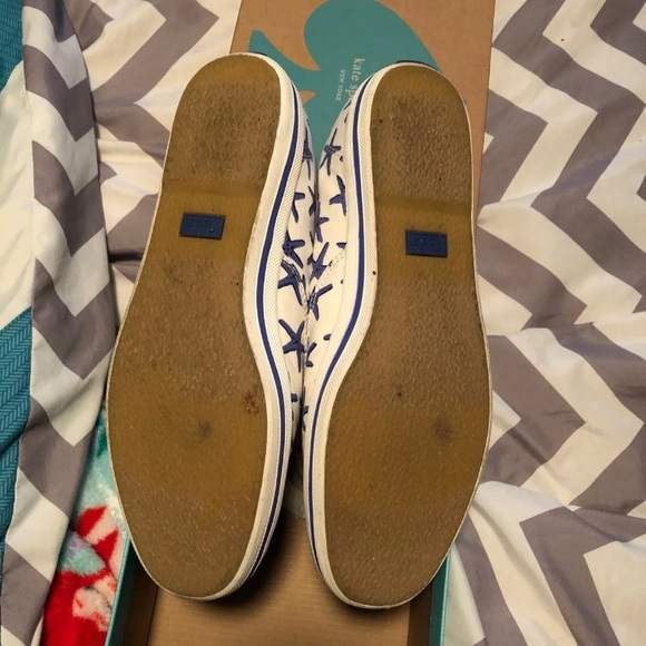 Kate Spade X Keds Starfish Blue Sneaker - Picture 3 of 5
